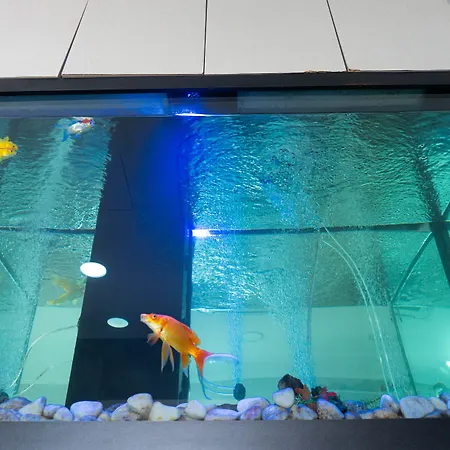 Residencial Do Areeiro Lisboa