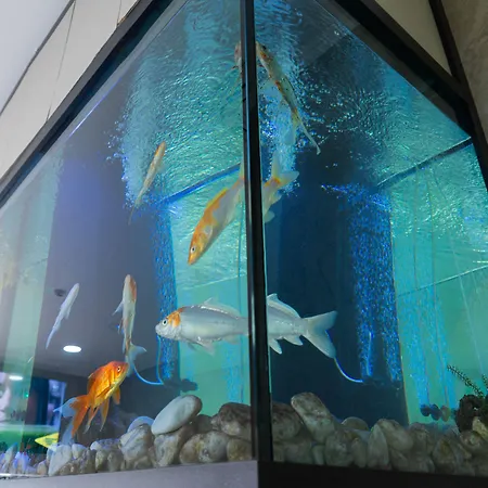 Penzion Residencial Do Areeiro 2*