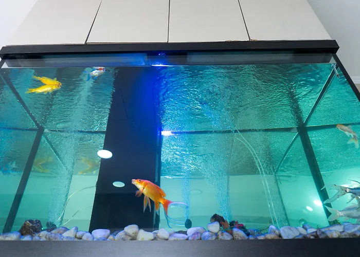 Residencial Do Areeiro Lisboa