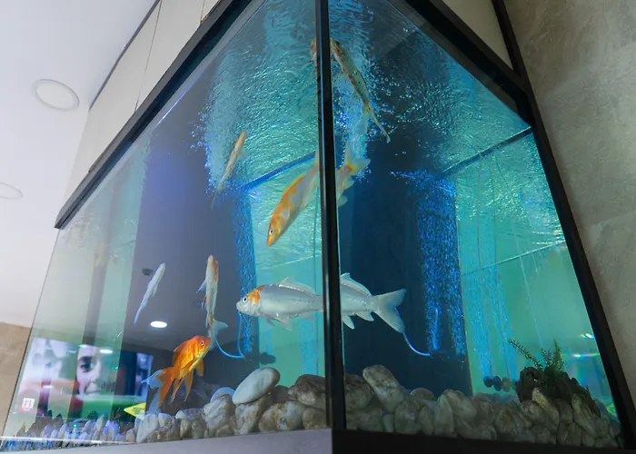 Vendégház Residencial Do Areeiro 2*